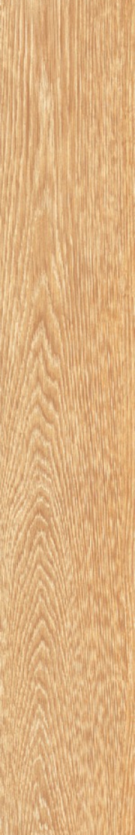 Oak Wood Golden