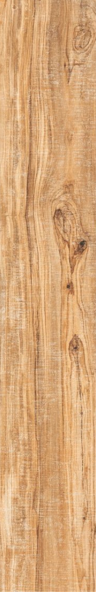 Bark wood